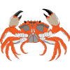 Crab Print