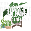 I Propagate That Plant Lover
