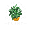 Plant Lover Succulent Gardening