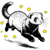 Frettchen in Blüten glitzern