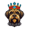 Dog Yorkshire King Animal