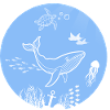 underwater world