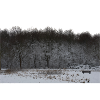 Winterparkbank in verschneiter Landschaft