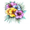 Hibiskus Farbblütenstrauß