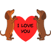 Amour teckel
