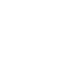 Harmonica Musican Found My Freedom Harmonica