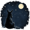 Pensive Donkey Under Starry Sky - T-Shirt