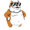 Sun Bulldog Sunglasses Fat Cool Dog