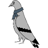 Pigeon with Scarf – Urban Minimal Illustration