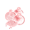 Pomegranate Contrast Print Red Berries