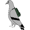 Pigeon with Backpack – Urban Minimal Illustration