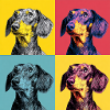 Pop Art Dachshund Quad