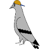 Pigeon with Cap – Urban Minimal Illustration