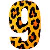 Leopard 9 Sun Print