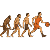 Basketball and sport evolution