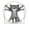 Mehrarmiger Grummelkatze
