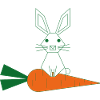Green Rabbit Line Art with Carrot