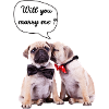 Will you marry me?