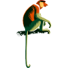 Singe trompide