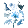 ocean animals