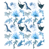 Ocean animals (big)