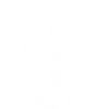 Sketch de ukulélé