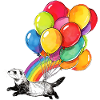 Frettchenballons und Regenbogen