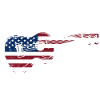 Hawaiian Ukulele Uke American Flag