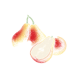 Birnenzauber im Blütenkranz