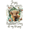Hochlandrind Christlich