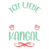 J’adore mon Kangal