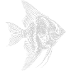 Angelfish Silhouette Sketch