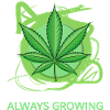 Always Growing