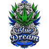 Blue Dream