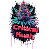 Critical Kush