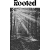 rooted