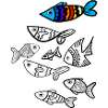 Bunter Fisch über Fische