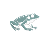 Frog Catcher Bug Eater Tracker Frog