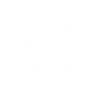 Yorkie white