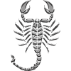 Scorpion metallic chrome