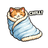 Cuddly cat in winter blanket