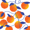 Oranges