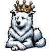 White Shepherd Shepherd Shepherd Dogs