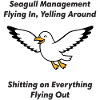 Seagull Management Chaos