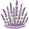 Lavendelstraußzum National Lavender Day