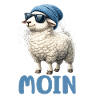 Moin Schaf mit Sonnenbrille