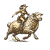 Western Rider on Sheep