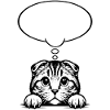 Scottish Fold-eared Cat Speech Bubble