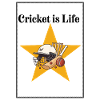 Cricket Star on the Golden Star