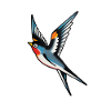Hirondelle tatouée classique